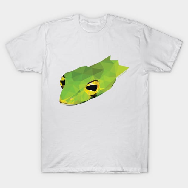 Big-Eyed Whip Snake T-Shirt by GeometricWildlife